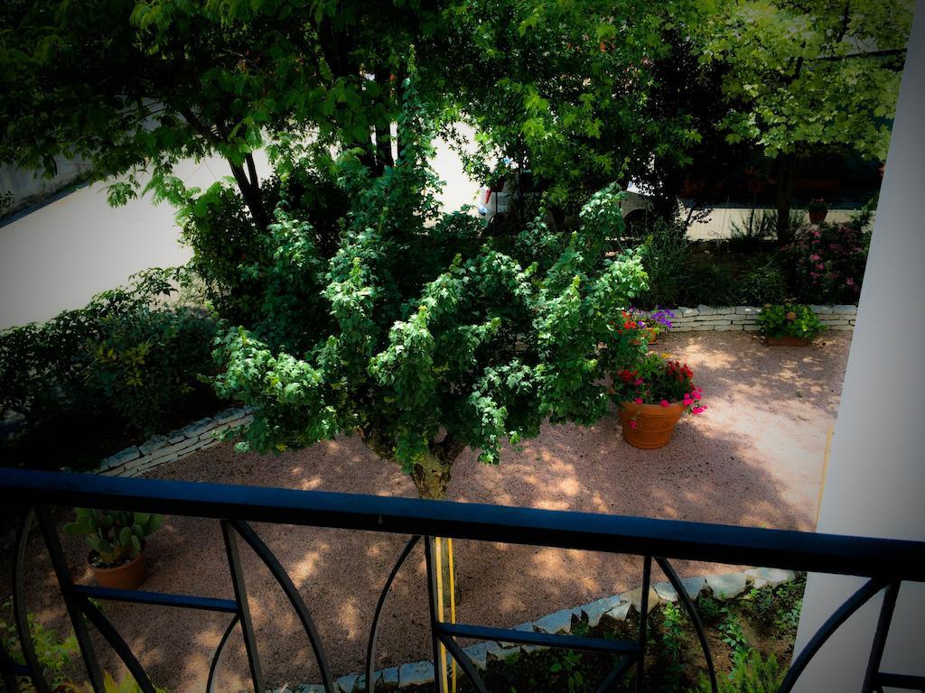 San Martino di Lupari Bed & Breakfast Don Carlos المظهر الخارجي الصورة