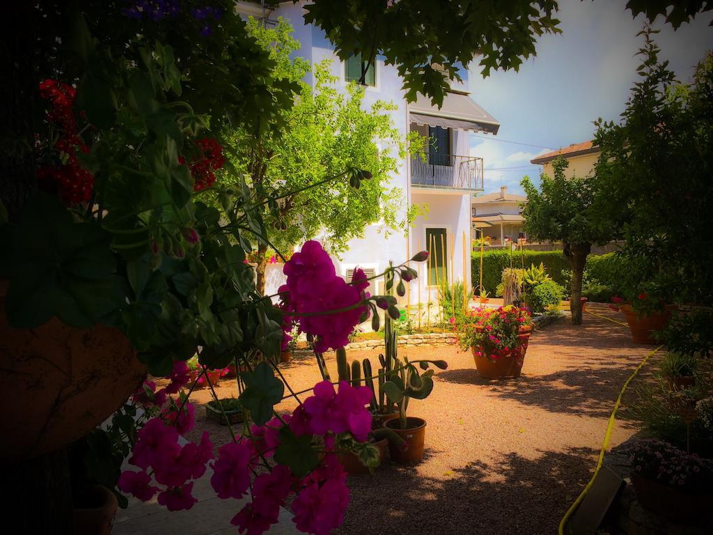 San Martino di Lupari Bed & Breakfast Don Carlos المظهر الخارجي الصورة